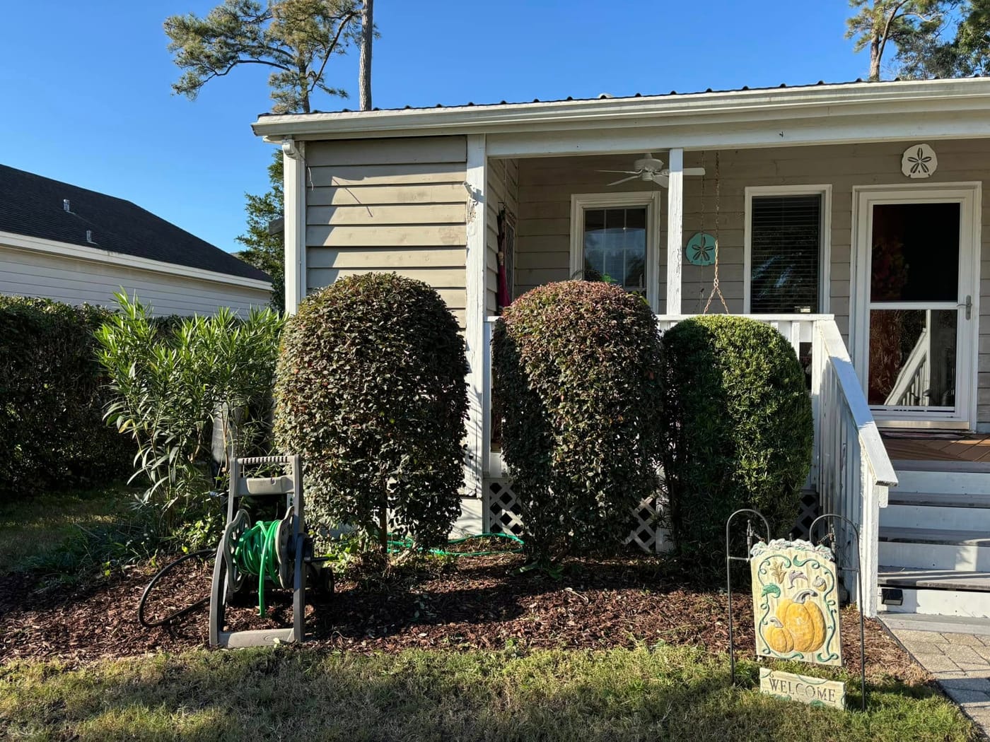 Neatly trimmed shrubs after shaping and pruning