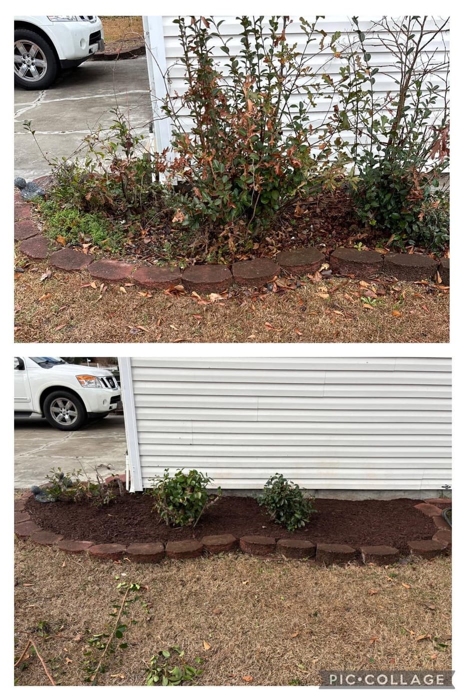Shrubs and hedges trimmed to a clean shape