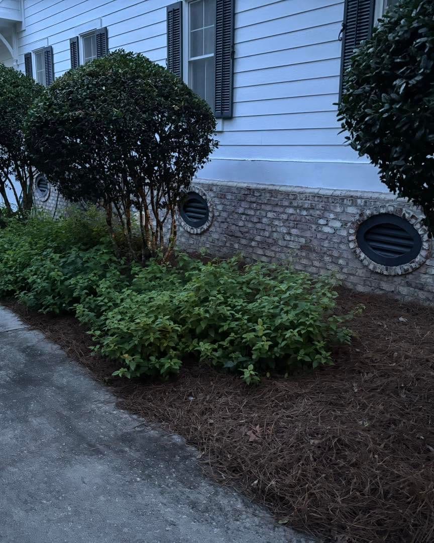 Freshly cut and edged lawn in coastal Brunswick County, NC