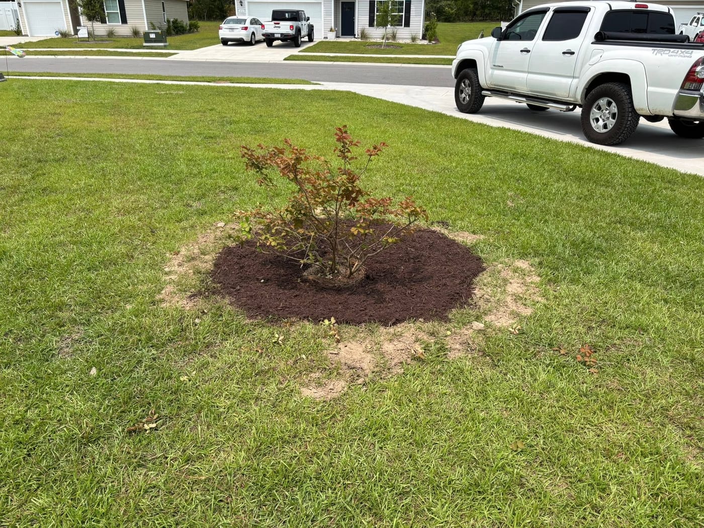 Curb appeal after a full lawn and landscaping service
