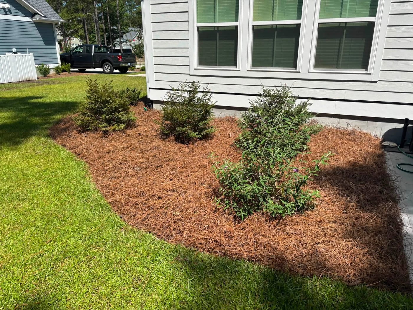 Manicured lawn and trimmed shrubs at a Brunswick County home