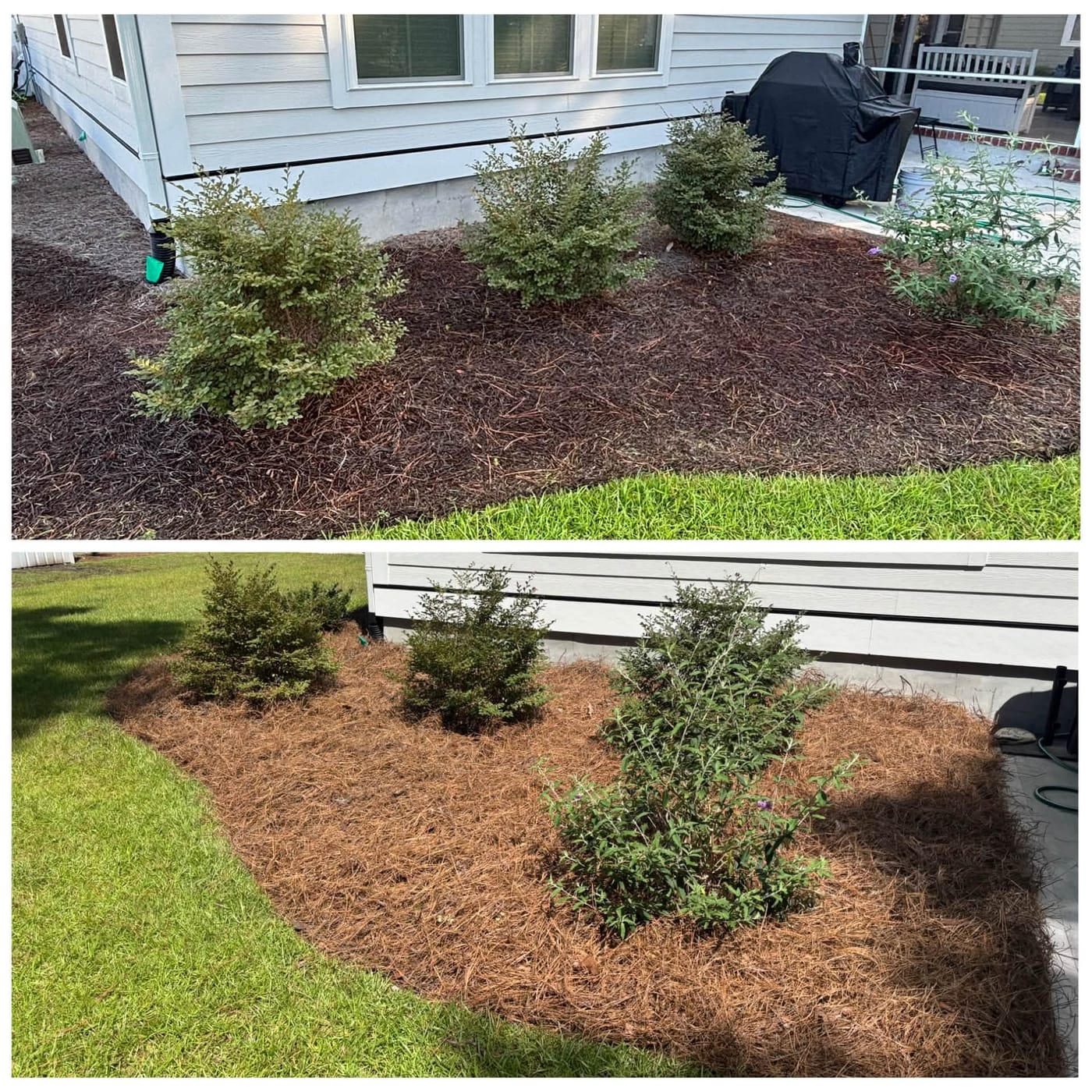Landscaped front yard with fresh mulch and green grass