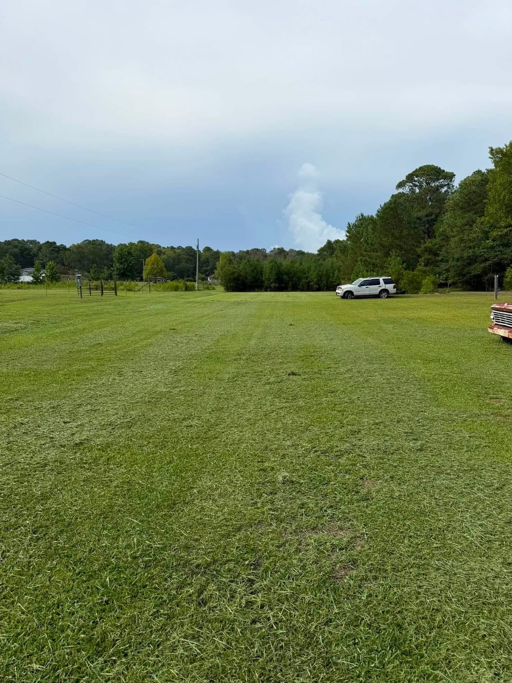 Freshly cut and edged lawn in coastal Brunswick County, NC