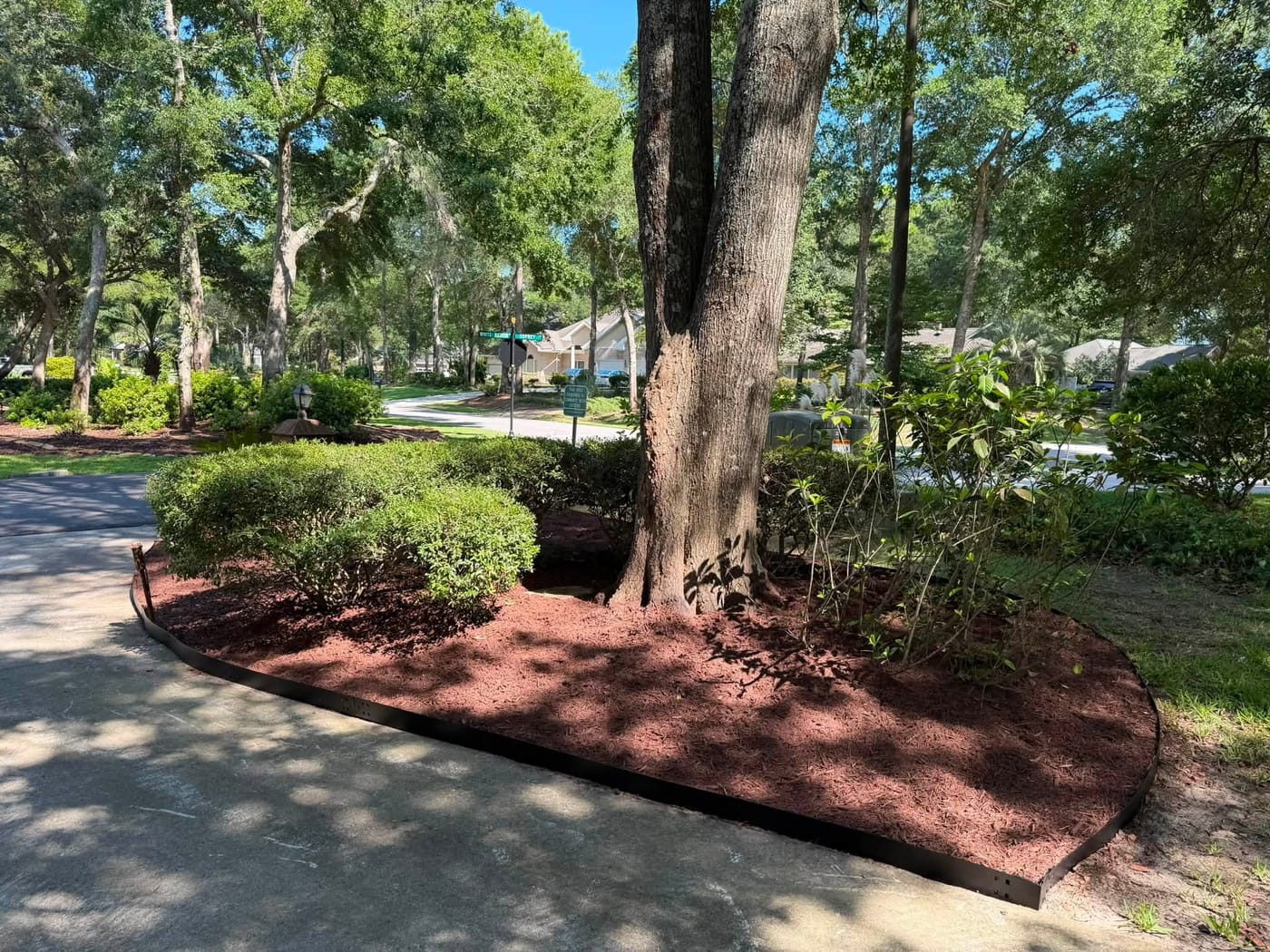 Manicured lawn and trimmed shrubs at a Brunswick County home