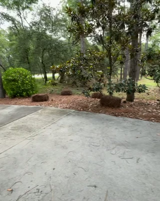 Job clip — On Edge Lawn Care