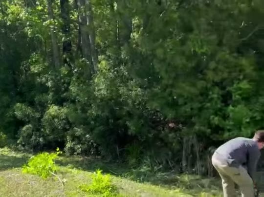 Job clip — On Edge Lawn Care
