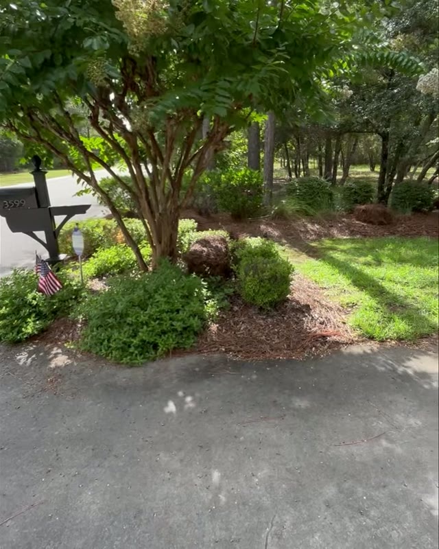 Job clip — On Edge Lawn Care