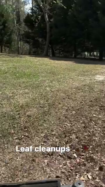 Job clip — On Edge Lawn Care