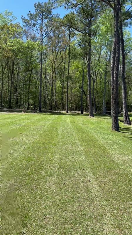 Happy Easter — On Edge Lawn Care